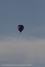 Pic #130727-015  •  1/8000 sec at f / 2.8  •  ISO 200  •  300 mm